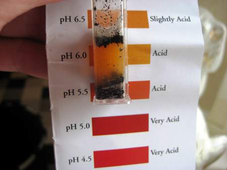 How to use a soil pH test kit. Results showing acid soil