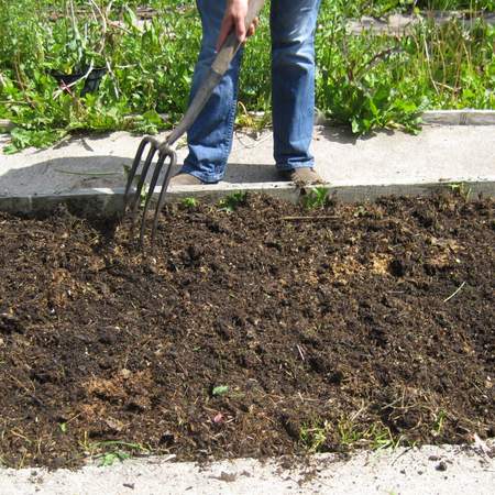 Spreading compost mulch on a no dig garden bed
