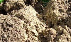 Types of Soil, Sandy Soil